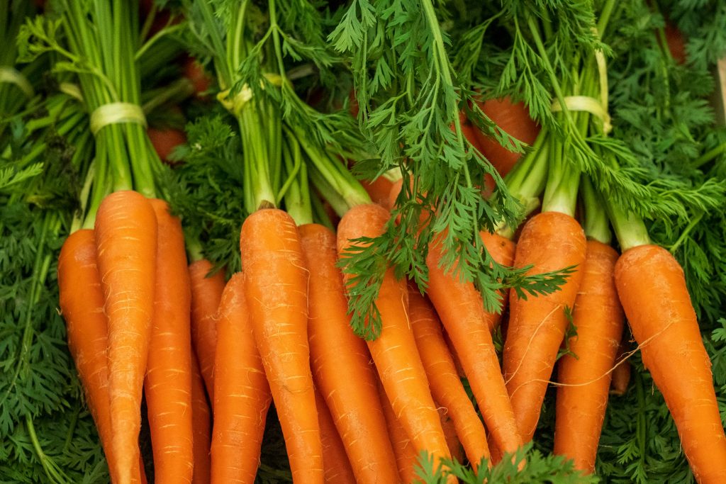 A guide to carrot health benefits and growth featuring orange, purple, and yellow root vegetables.